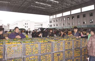 上饒農產品交易城 打造集交易、展覽、展示于一體的綜合性國際農副產品與鞋帽批發新樞紐