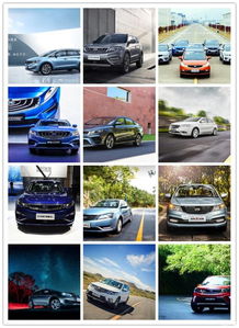 上海華驥吉利汽車(chē)公司介紹